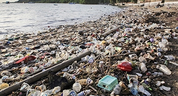 欧盟、英国、澳大利亚对亚洲的废塑料出口量创新高